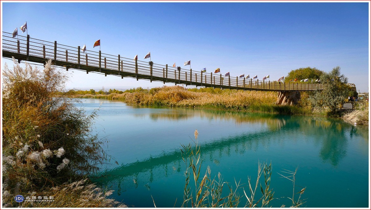 2024-（210）泽普金胡杨林公园（六）