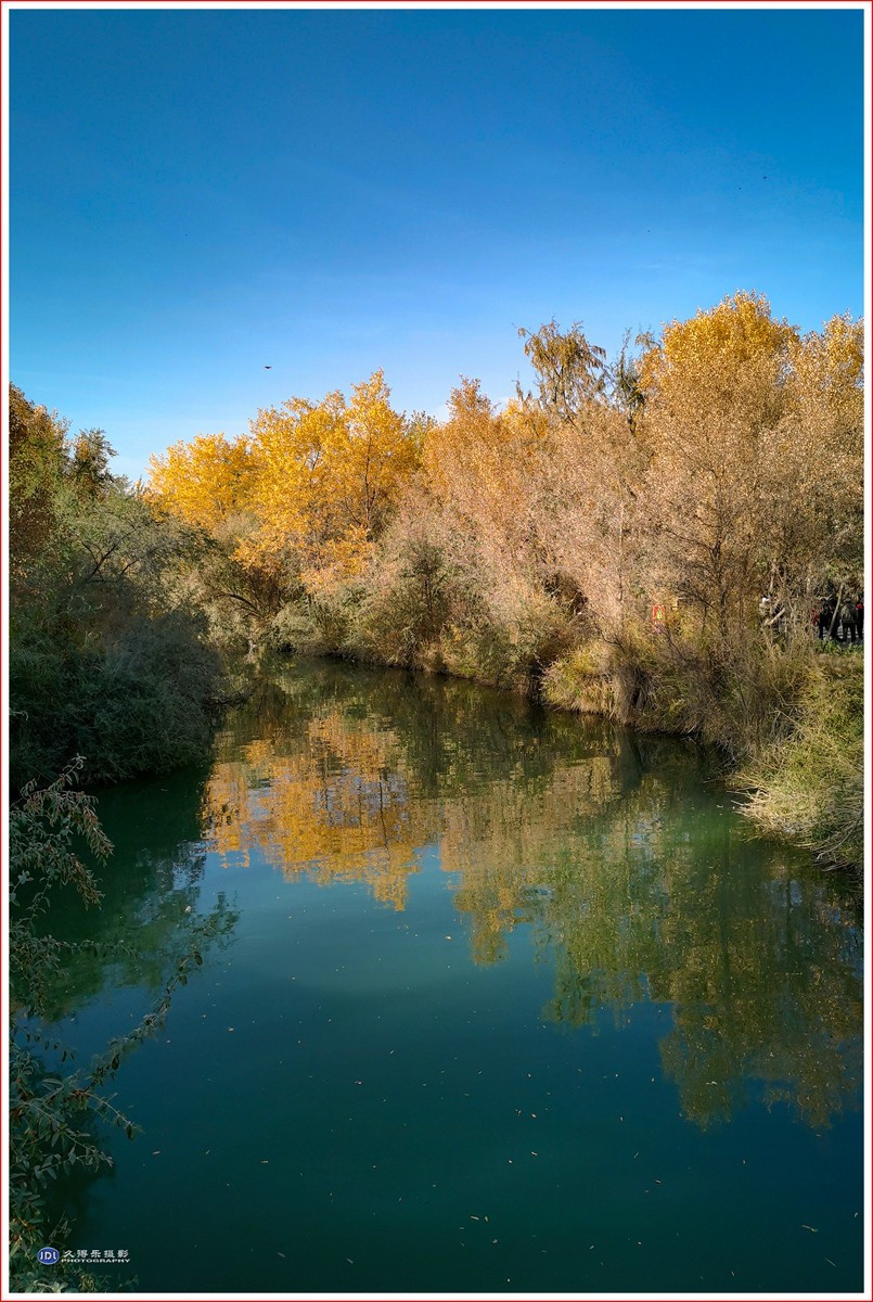 2024-（210）泽普金胡杨林公园（六）