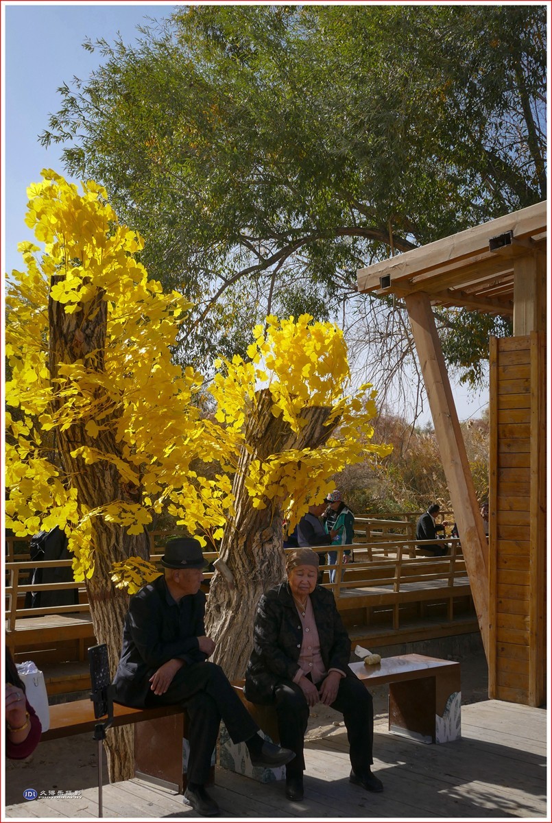 2024-（210）泽普金胡杨林公园（六）