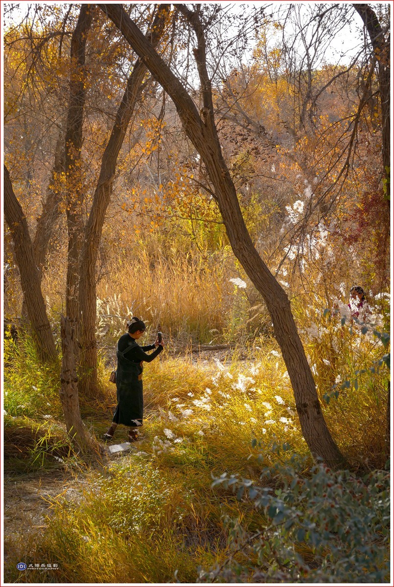 2024-（210）泽普金胡杨林公园（六）