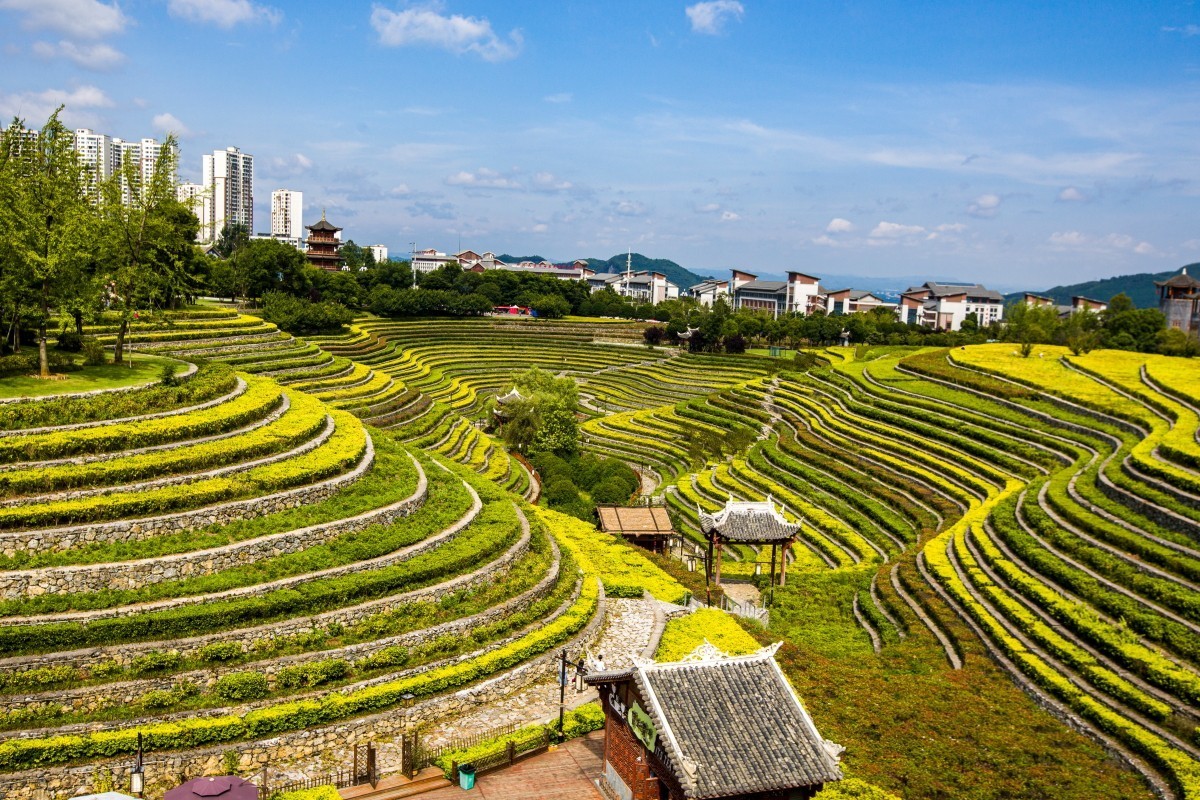 外出随拍（续156）.