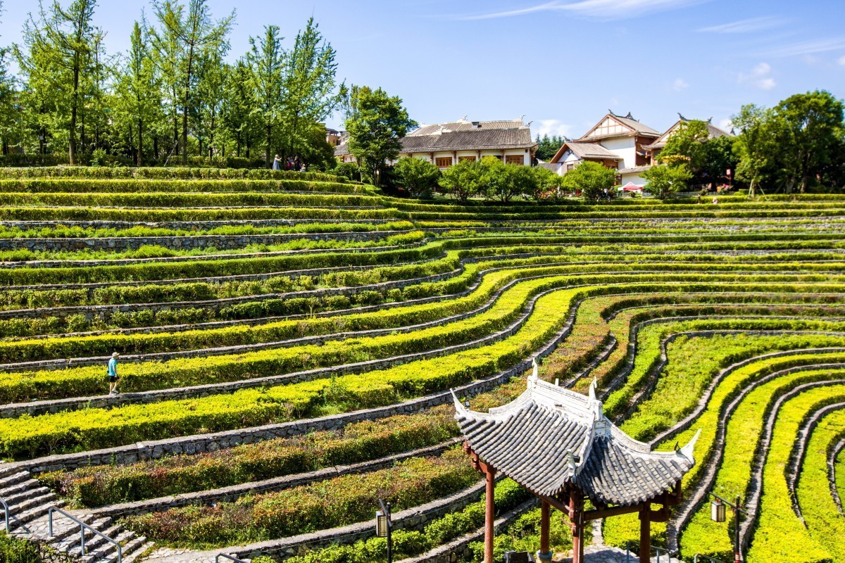 外出随拍（续156）.