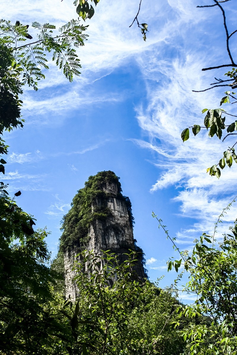 外出随拍（续156）.