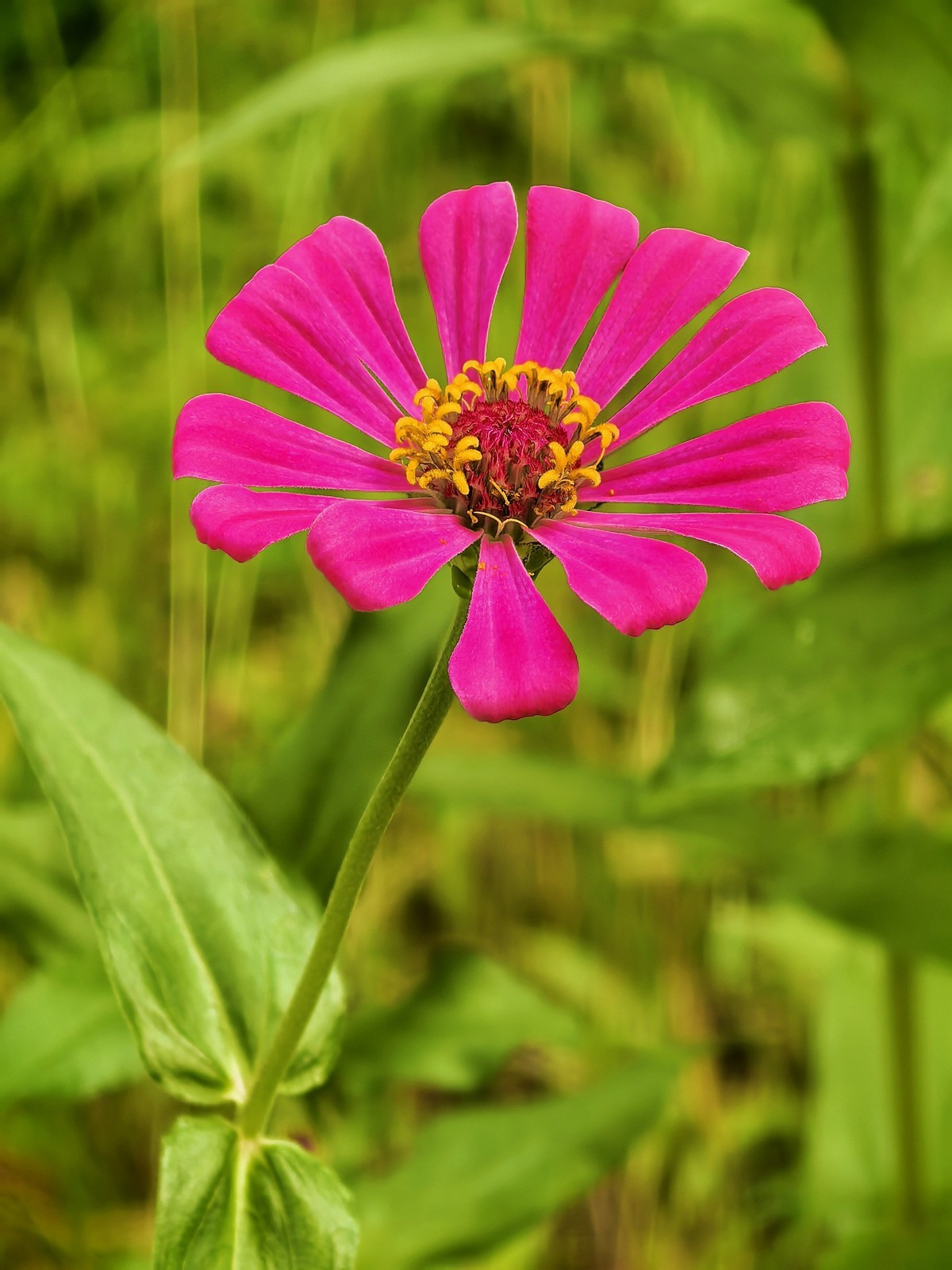 皖南宁国阿勒泰（皖南川藏线）---真也天镜的初秋二华为PURE 70 ULTRE直出）