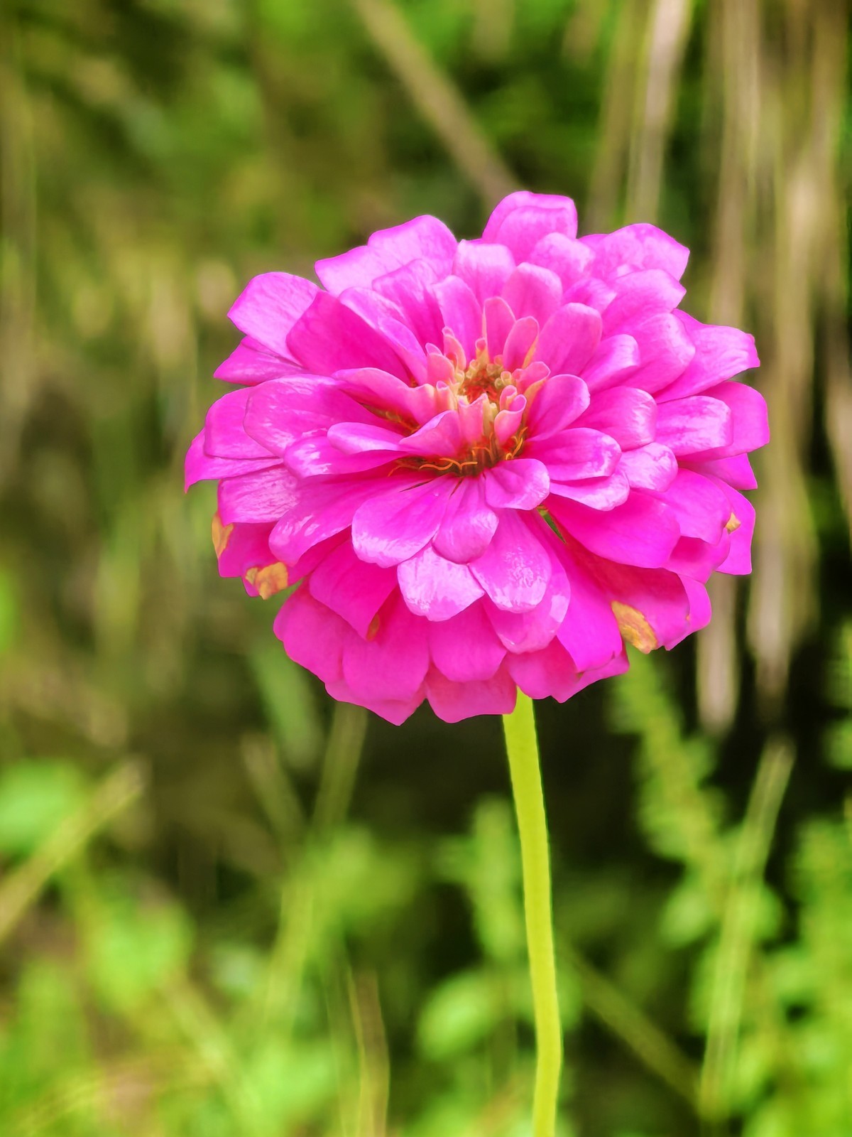 皖南宁国阿勒泰（皖南川藏线）---真也天镜的初秋二华为PURE 70 ULTRE直出）