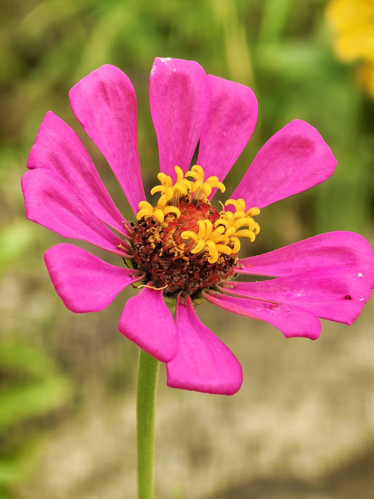 皖南宁国阿勒泰（皖南川藏线）---真也天镜的初秋二华为PURE 70 ULTRE直出）