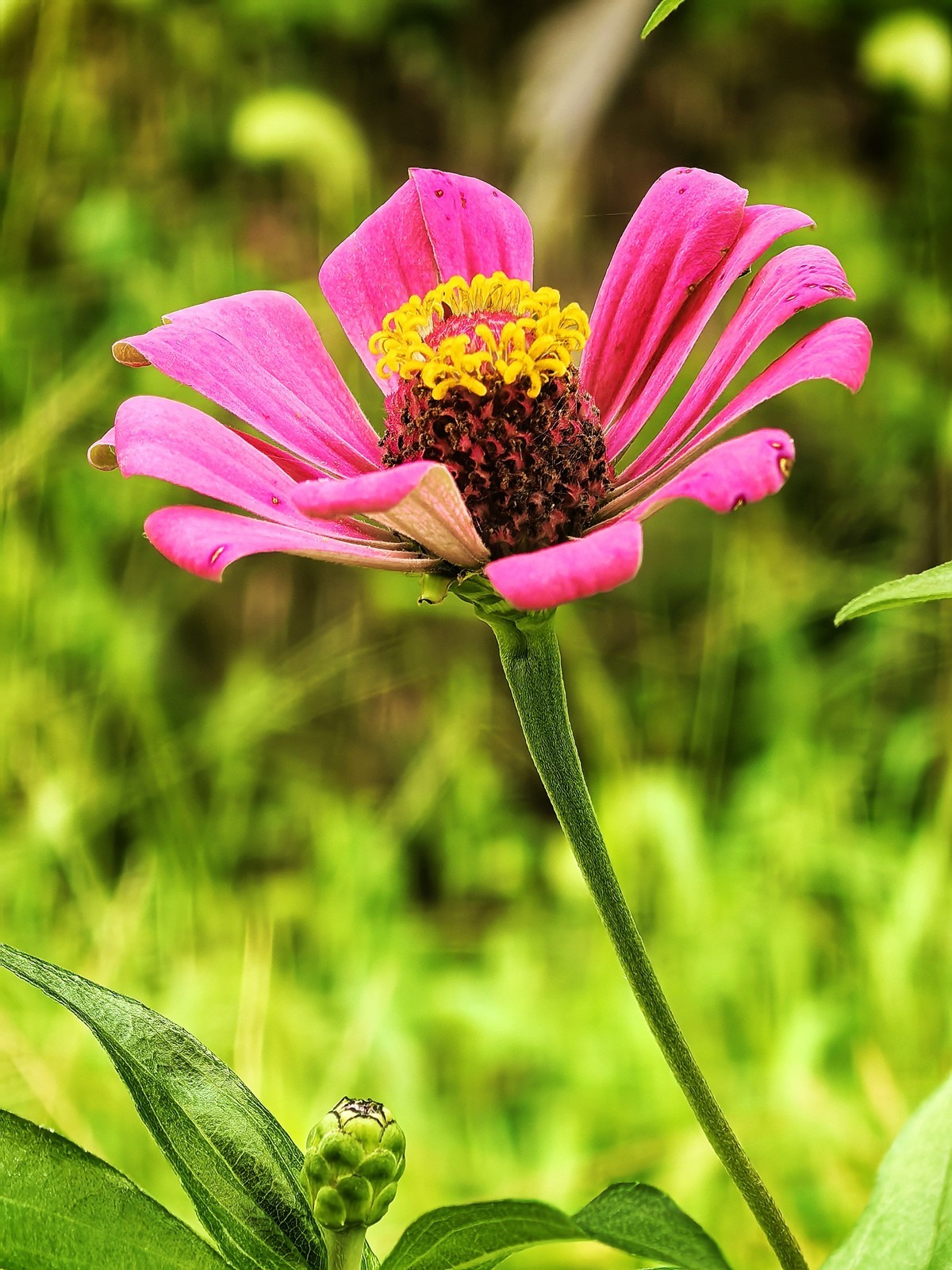 皖南宁国阿勒泰（皖南川藏线）---真也天镜的初秋二华为PURE 70 ULTRE直出）