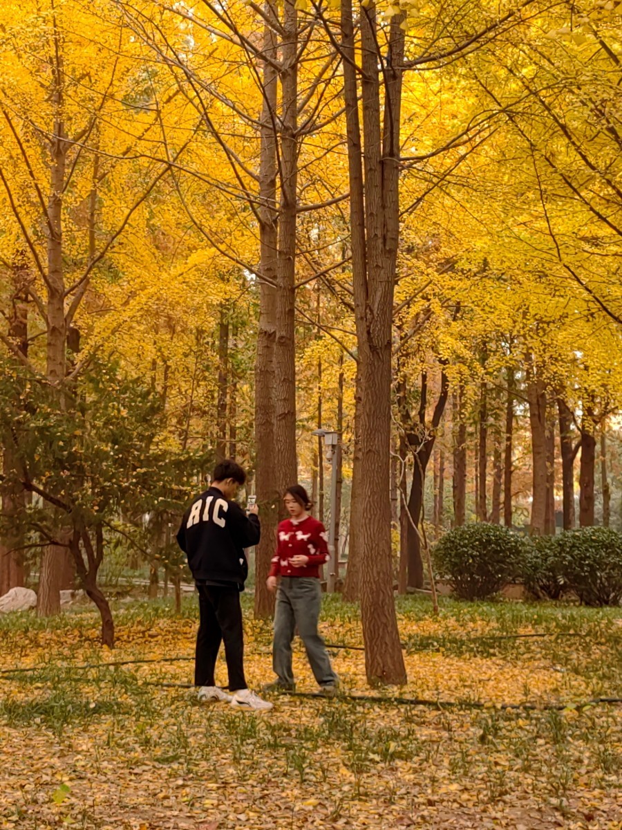 外出随拍（续213）.