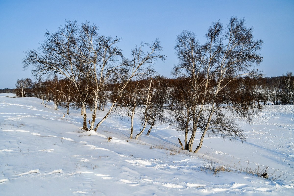 春节乌兰布统塞罕坝之行 及路上所见（六）