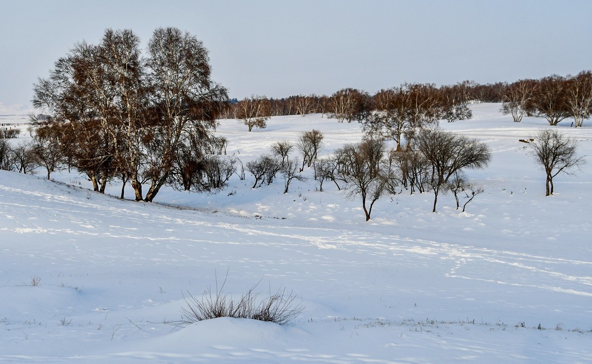 春节乌兰布统塞罕坝之行 及路上所见（六）