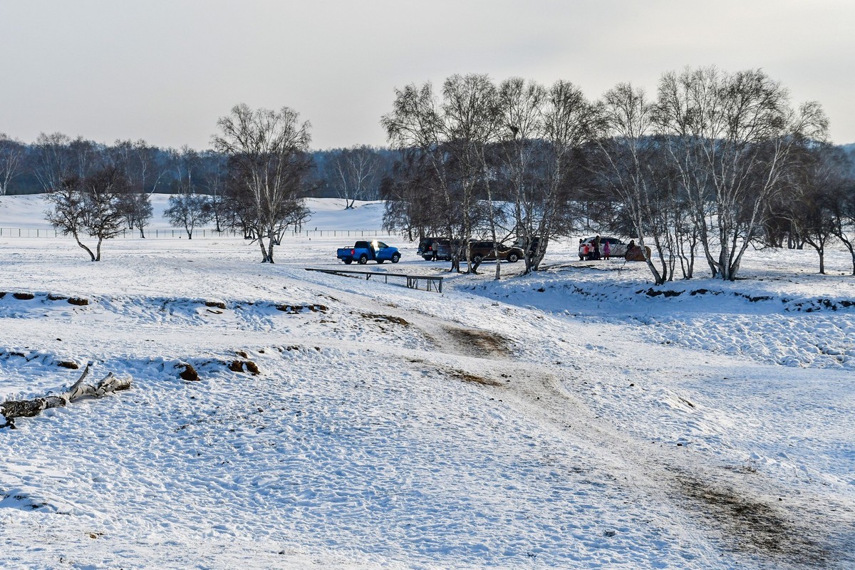 我只是把出去看到的随手记录下来（八十三）