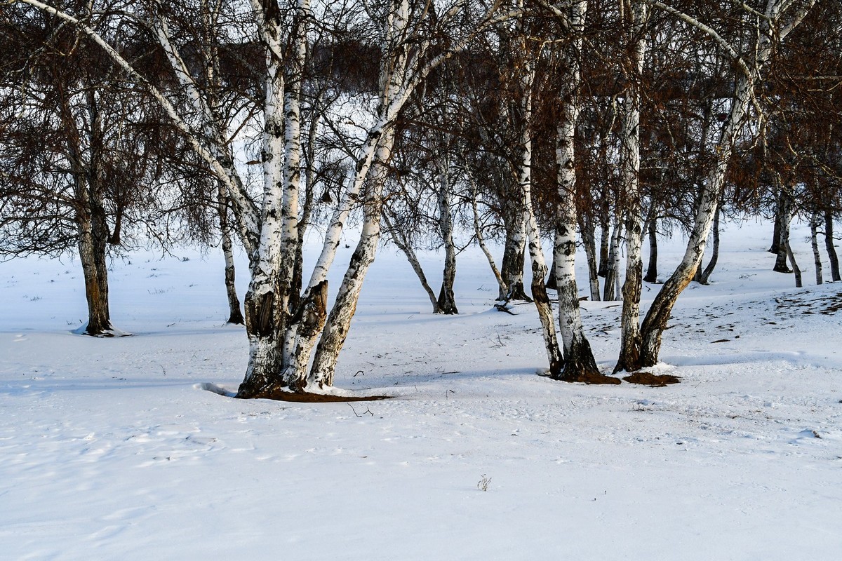 我只是把出去看到的随手记录下来（八十三）