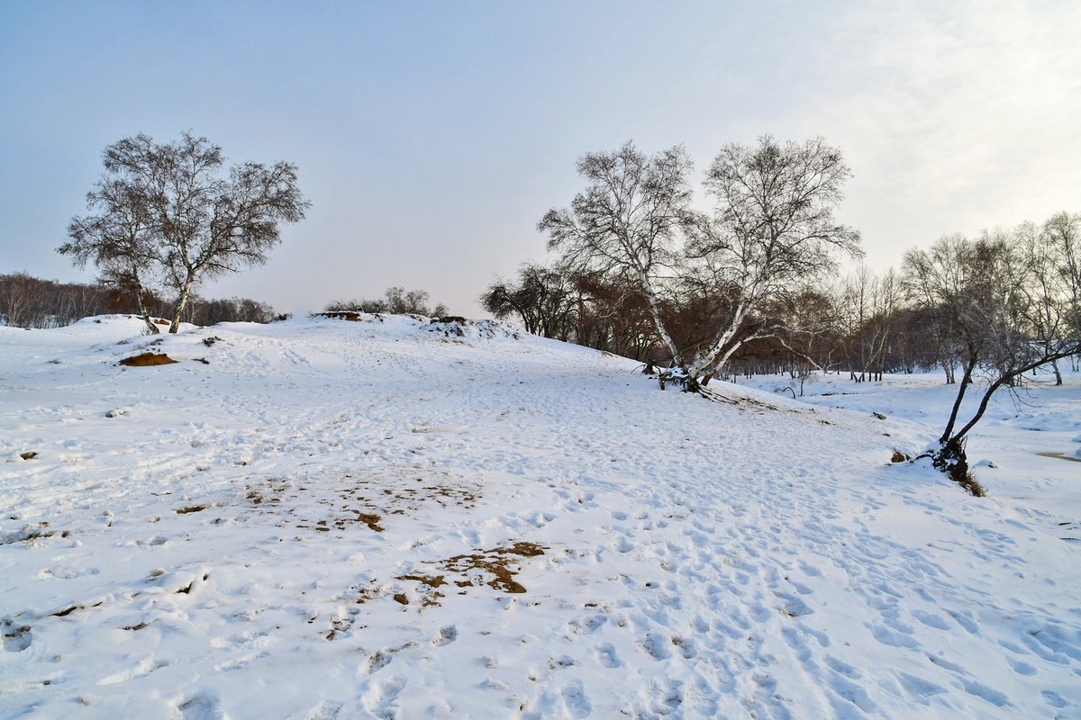 我只是把出去看到的随手记录下来（八十三）