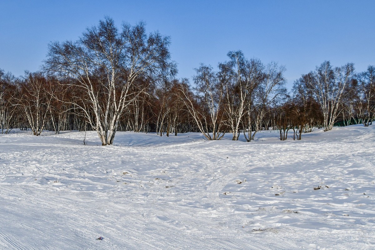 我只是把出去看到的随手记录下来（八十三）