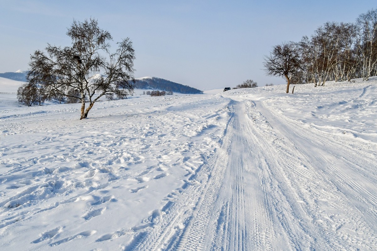 我只是把出去看到的随手记录下来（八十三）