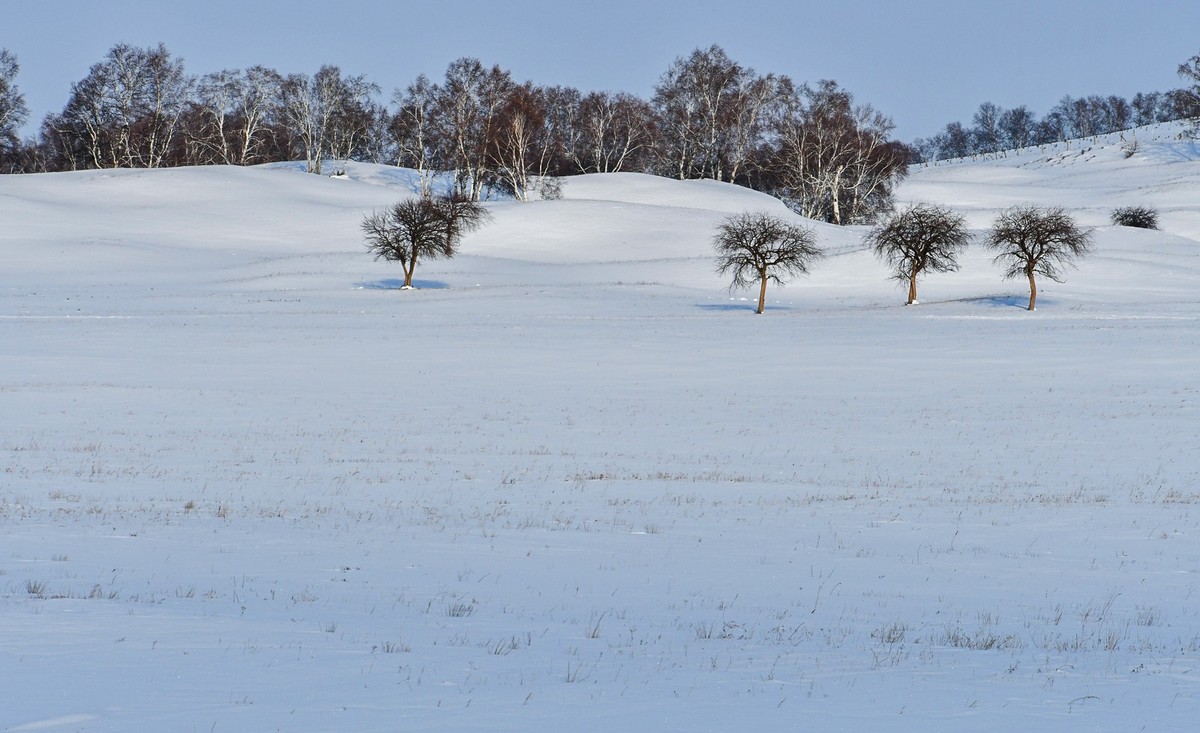 我只是把出去看到的随手记录下来（八十三）