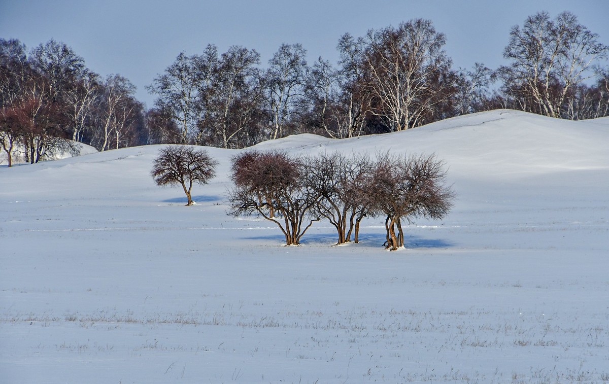 我只是把出去看到的随手记录下来（八十三）