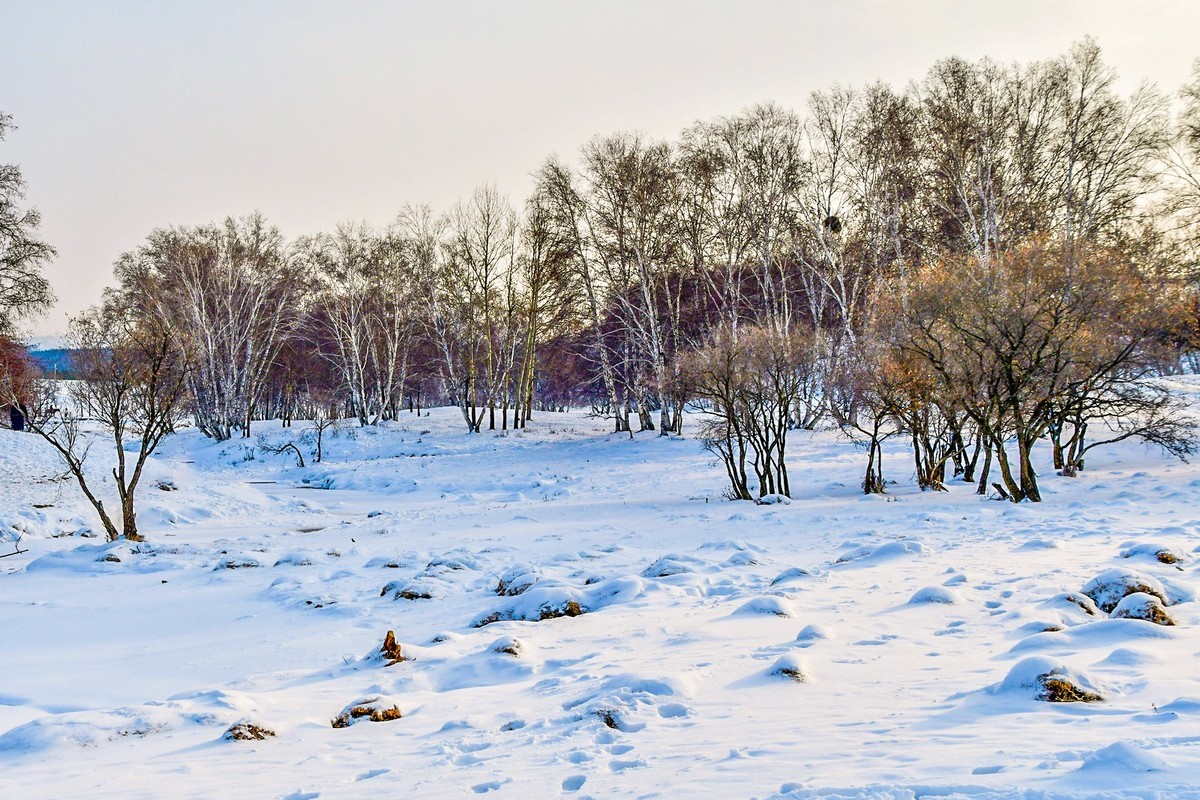 春节乌兰布统塞罕坝之行 及路上所见（六）