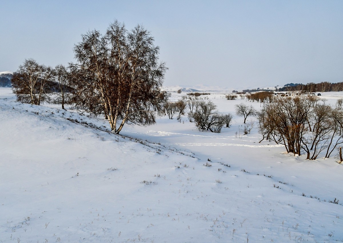 春节乌兰布统塞罕坝之行 及路上所见（六）