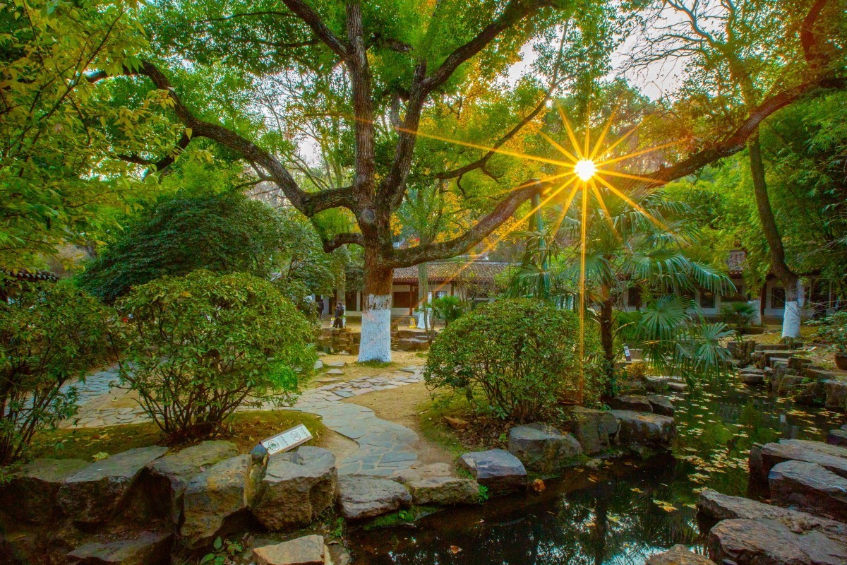 岳麓山周边随拍