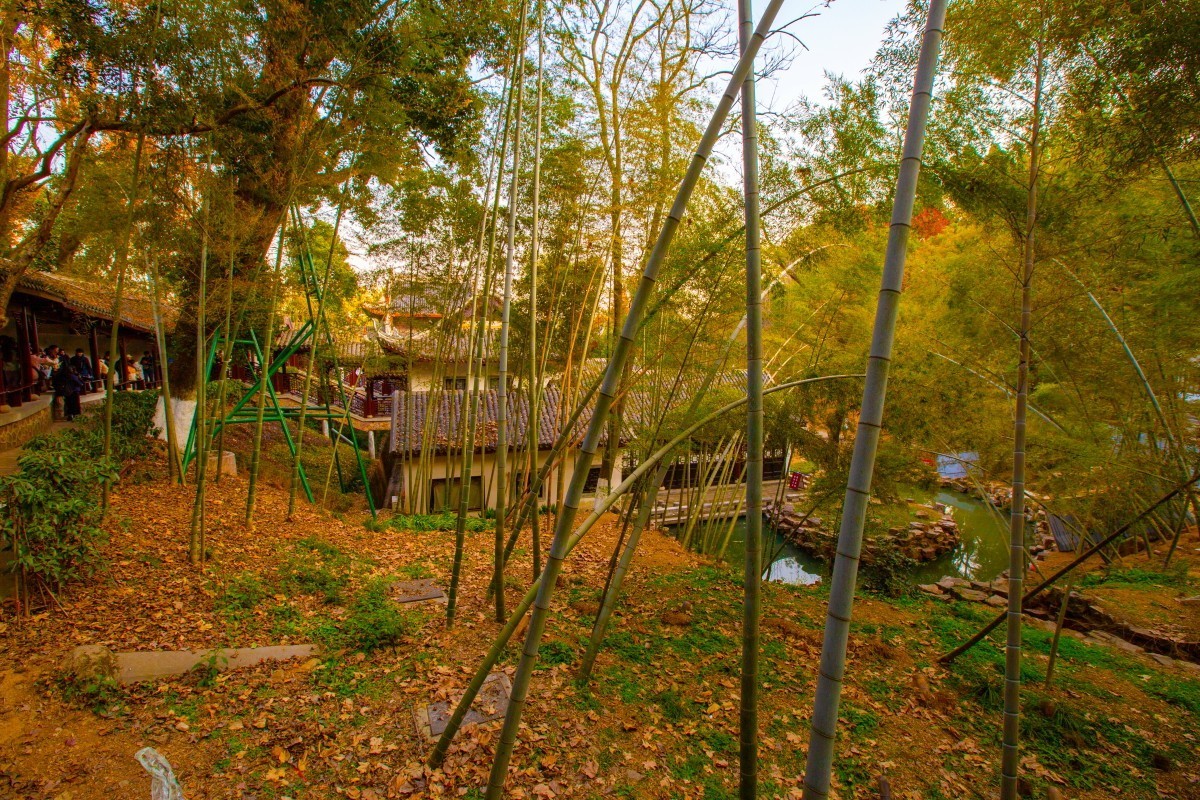 岳麓山周边随拍