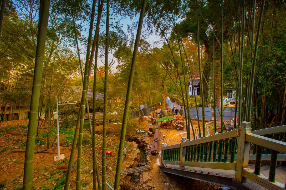 岳麓山周边随拍