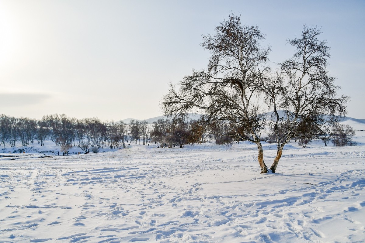 春节乌兰布统塞罕坝之行 及路上所见（六）