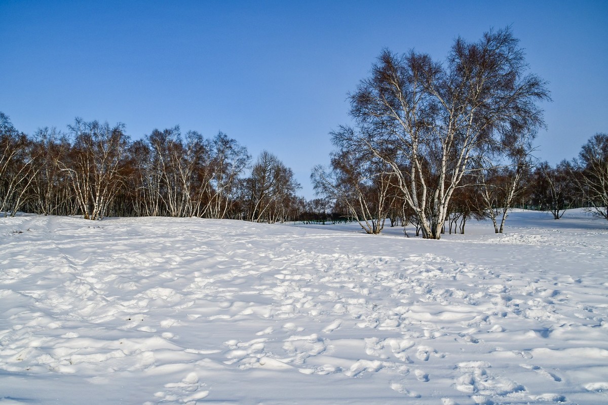 春节乌兰布统塞罕坝之行 及路上所见（六）