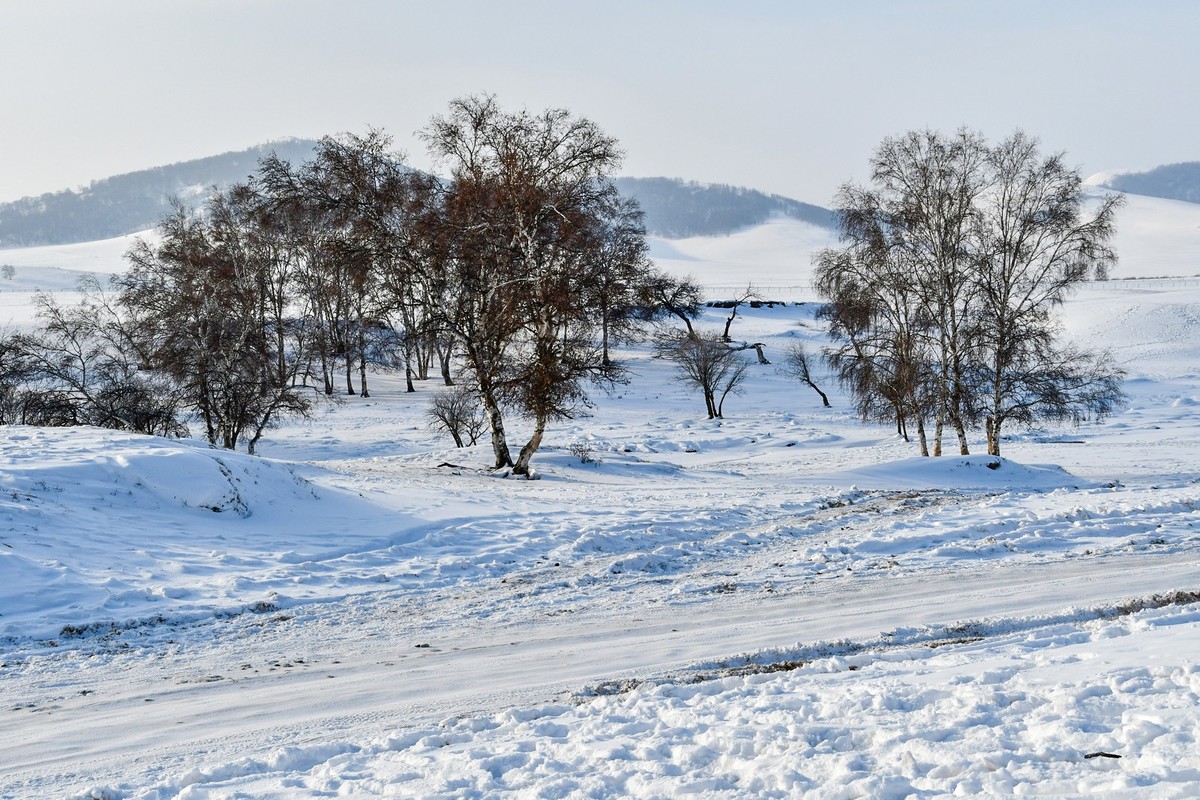 春节乌兰布统塞罕坝之行 及路上所见（六）