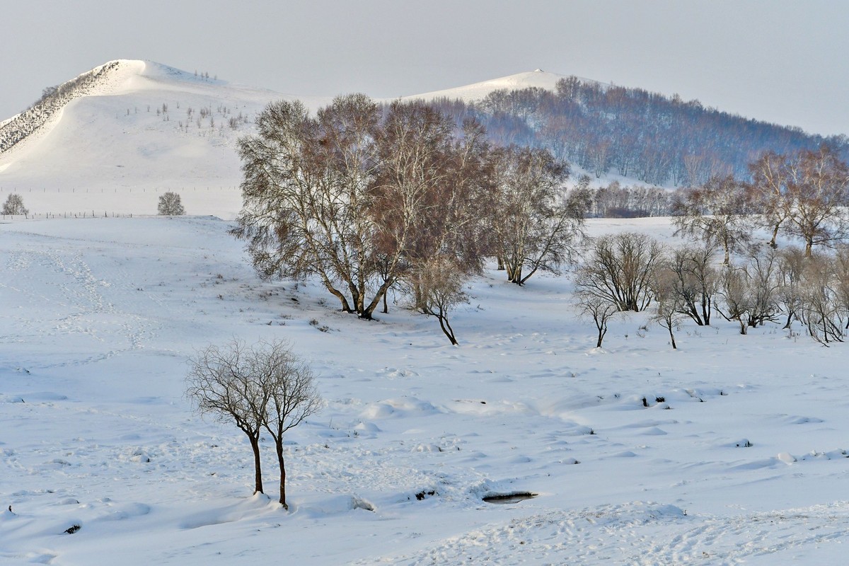 我只是把出去看到的随手记录下来（八十三）