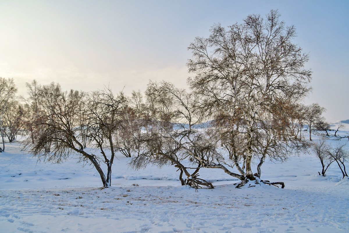 我只是把出去看到的随手记录下来（八十三）