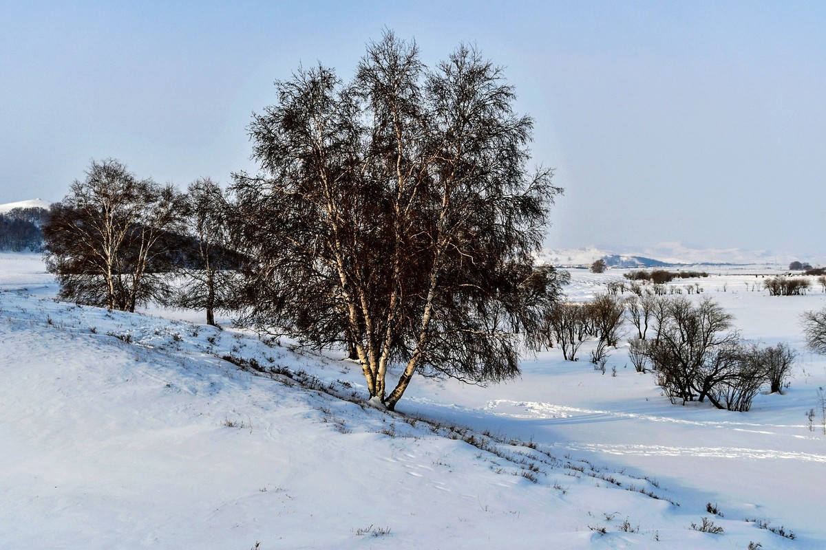 我只是把出去看到的随手记录下来（八十三）