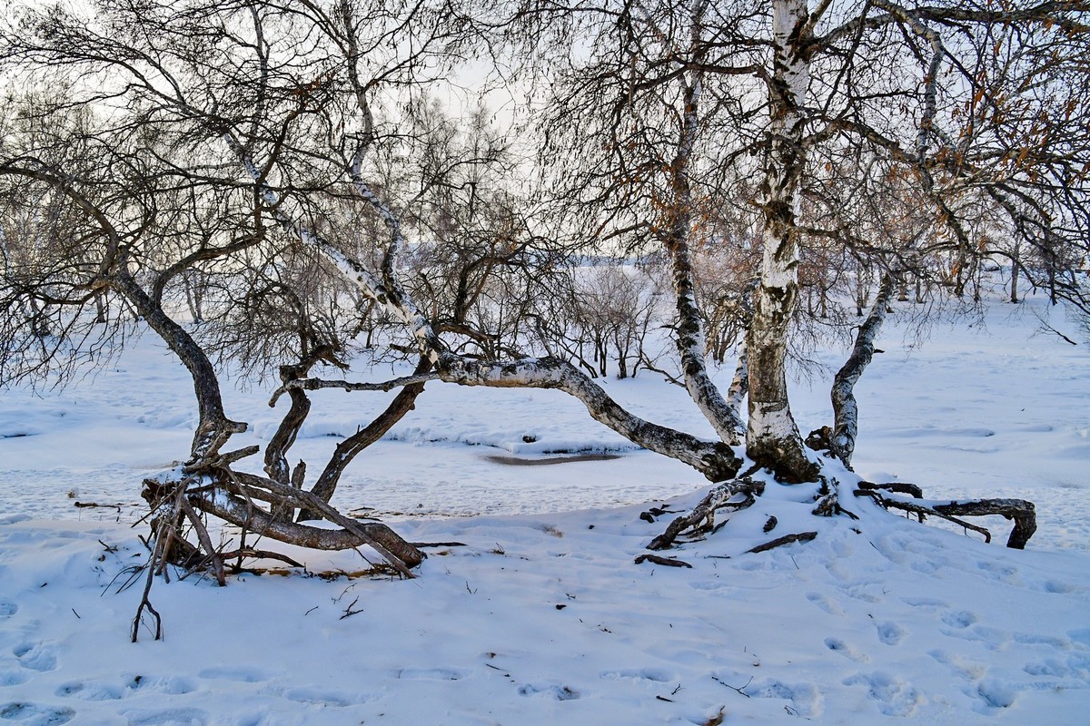 我只是把出去看到的随手记录下来（八十三）