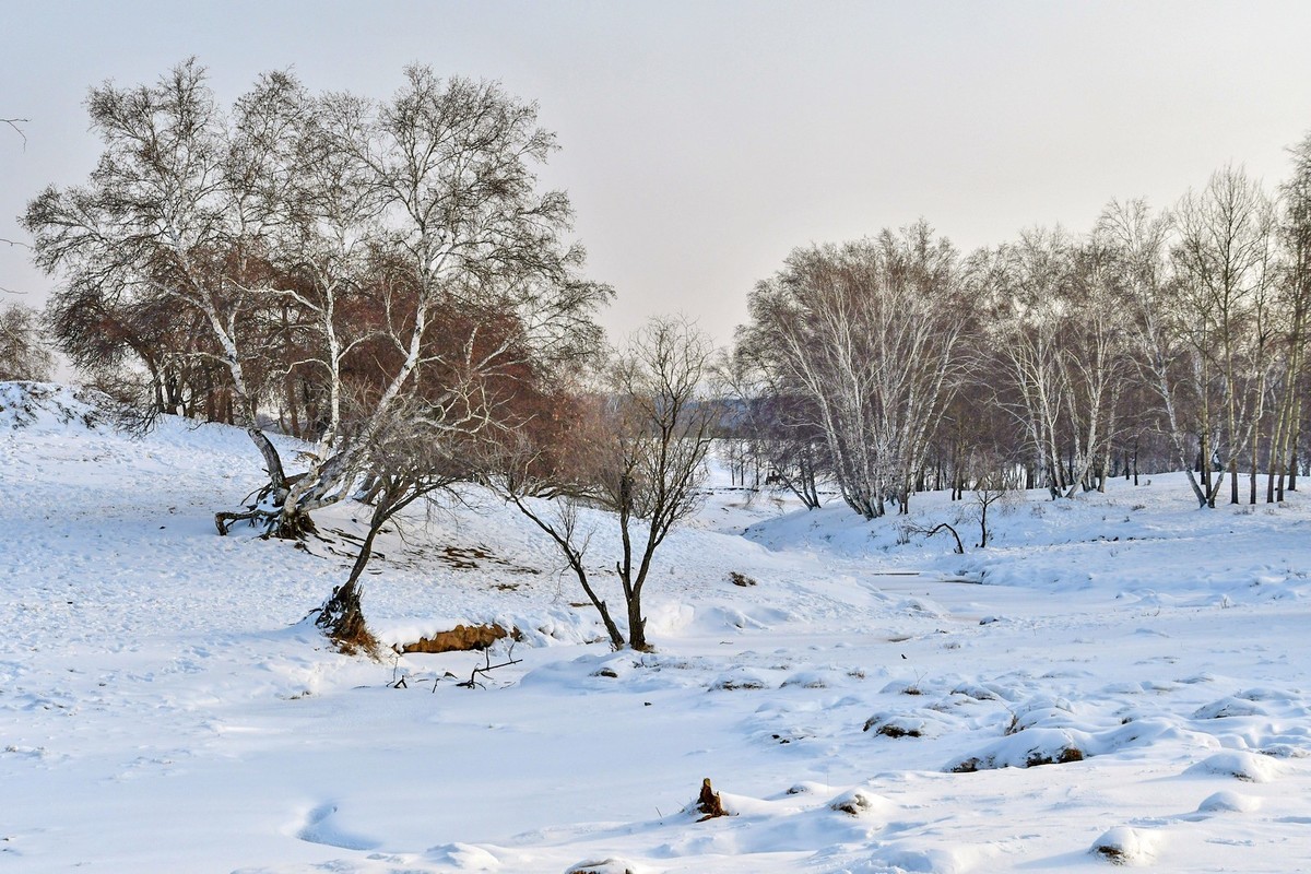 我只是把出去看到的随手记录下来（八十三）