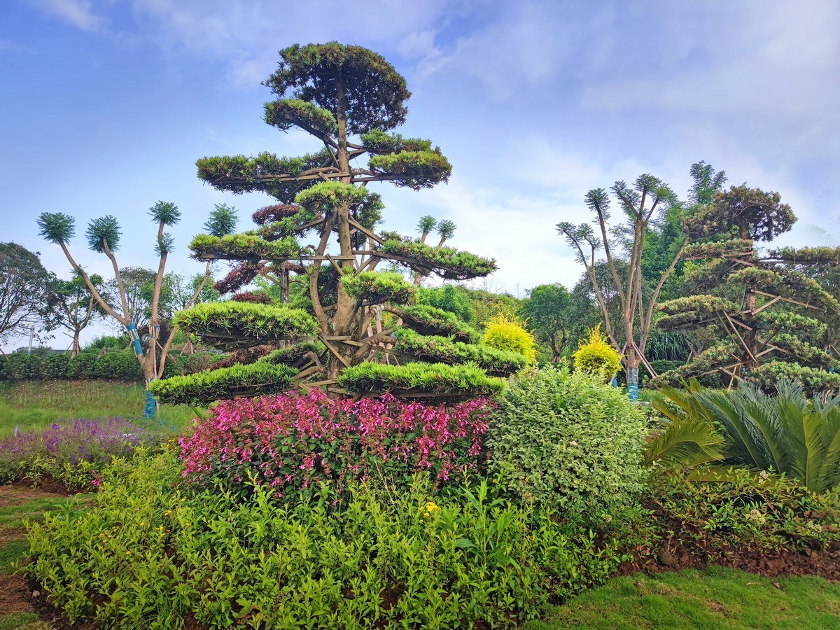 玉泉湖公园小景（第三集）——11P