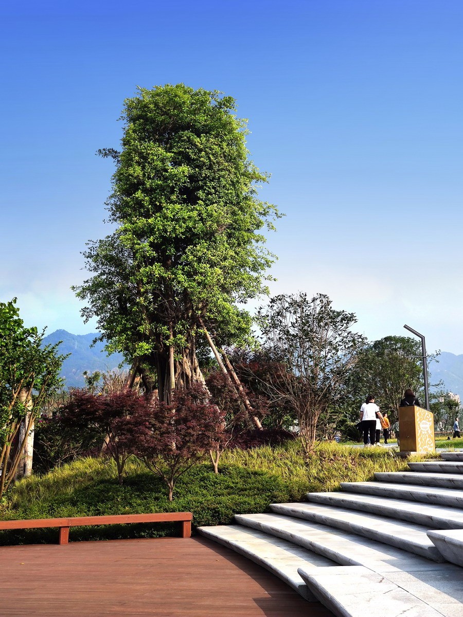 玉泉湖公园小景（第三集）——11P