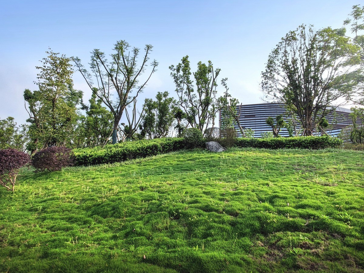 玉泉湖公园小景（第三集）——11P