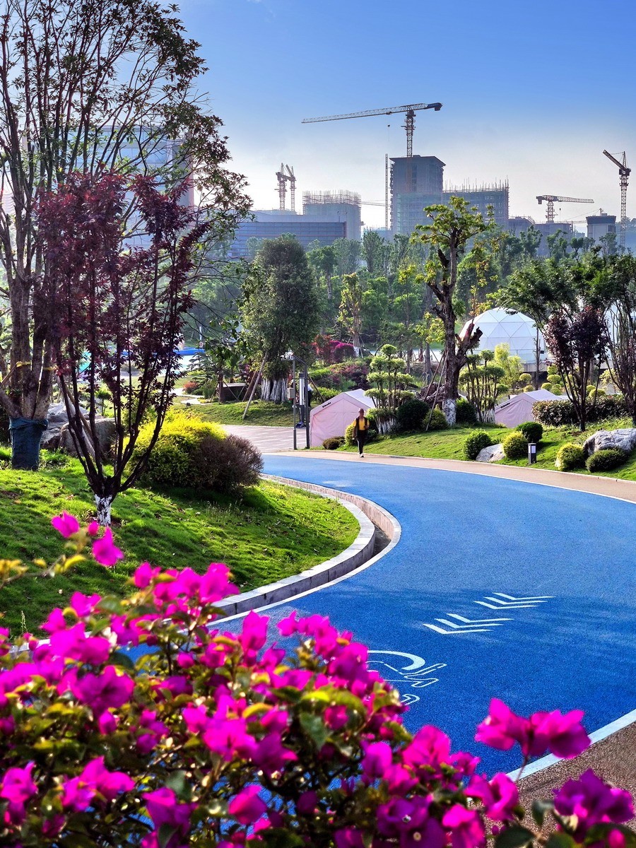 玉泉湖公园小景（第三集）——11P