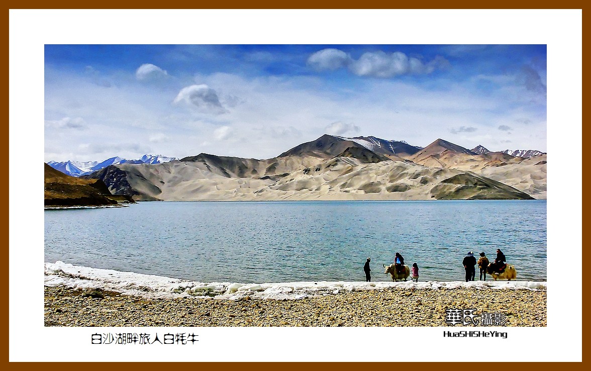 2023西行游记（新疆098）—白沙湖畔旅人白牦牛（喀什）