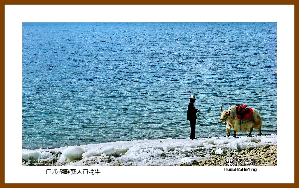 2023西行游记（新疆098）—白沙湖畔旅人白牦牛（喀什）