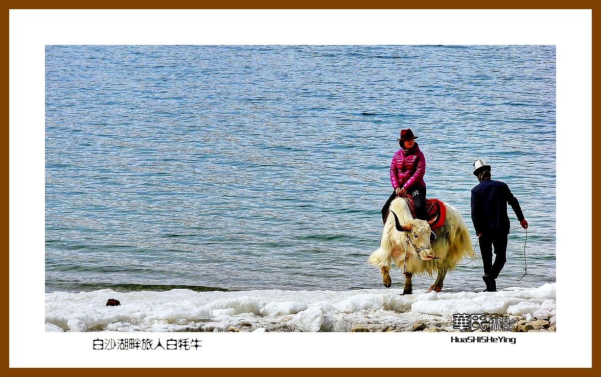 2023西行游记（新疆098）—白沙湖畔旅人白牦牛（喀什）