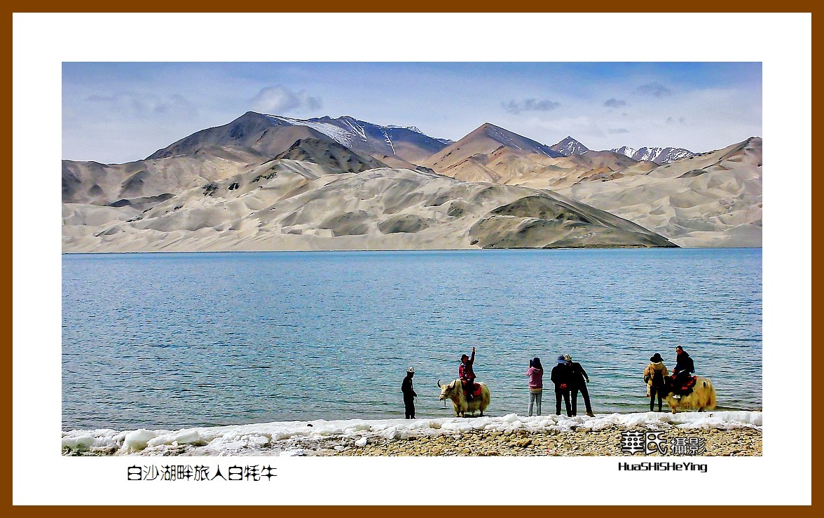 2023西行游记（新疆098）—白沙湖畔旅人白牦牛（喀什）