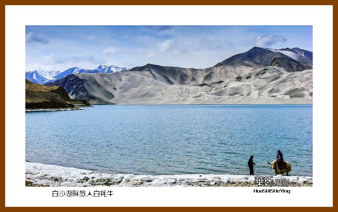 2023西行游记（新疆098）—白沙湖畔旅人白牦牛（喀什）