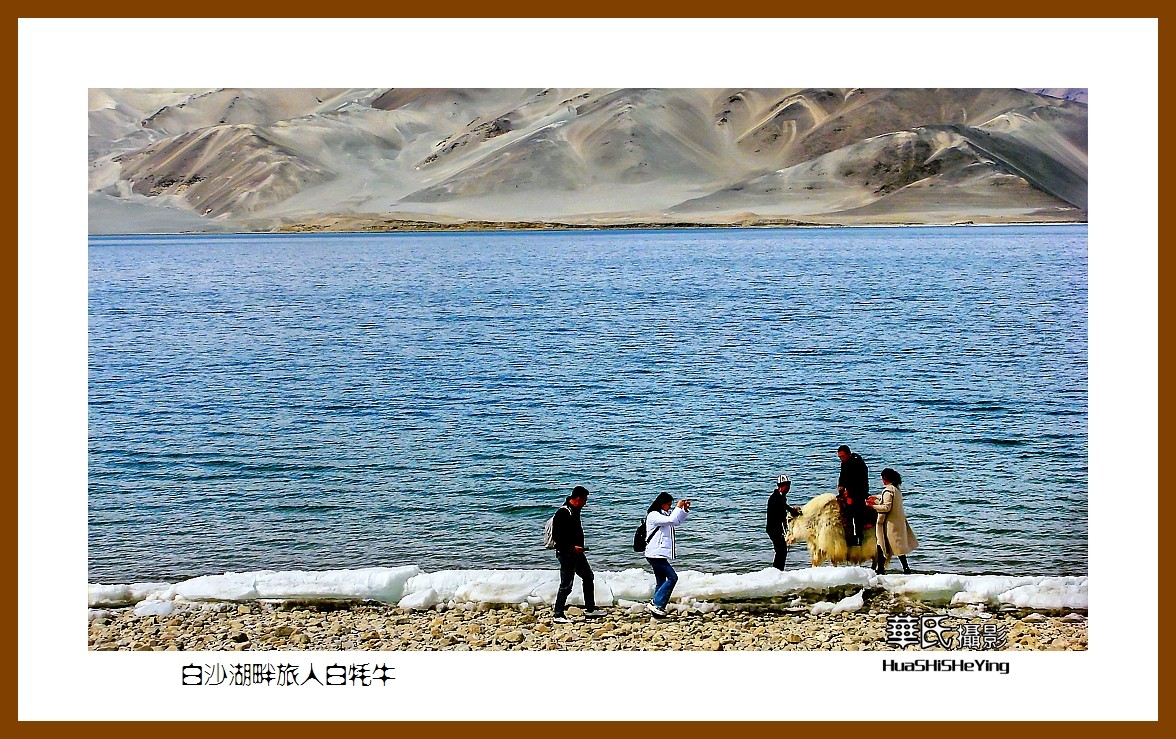 2023西行游记（新疆098）—白沙湖畔旅人白牦牛（喀什）