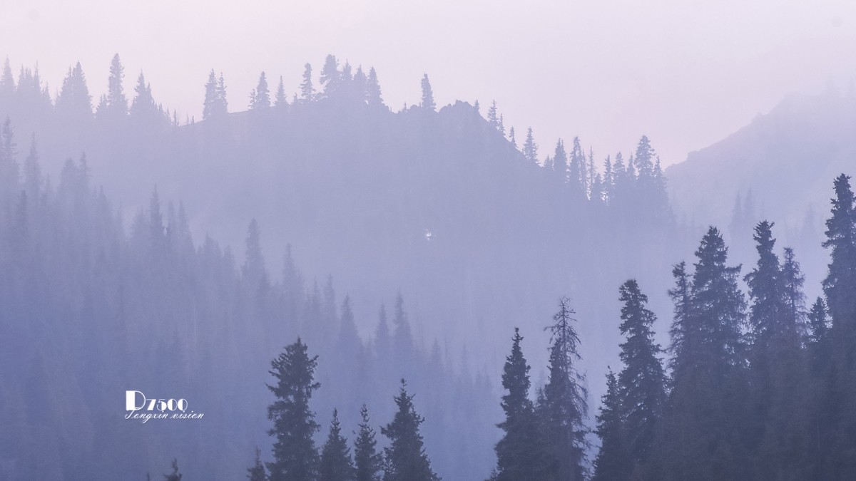 天山天池与天鹅湖（4）