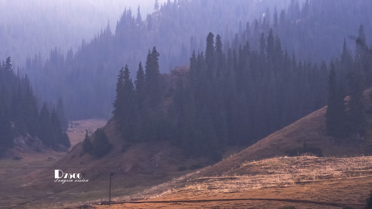 天山天池与天鹅湖（4）