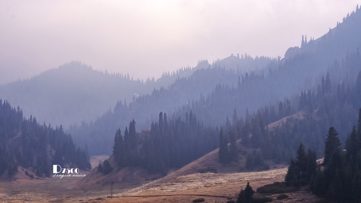 天山天池与天鹅湖（4）