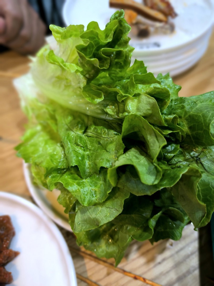 漫步星城 走街串巷（642）万家丽各种餐厅