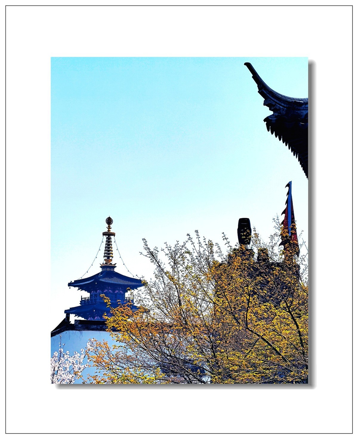 2025一一再游江南2