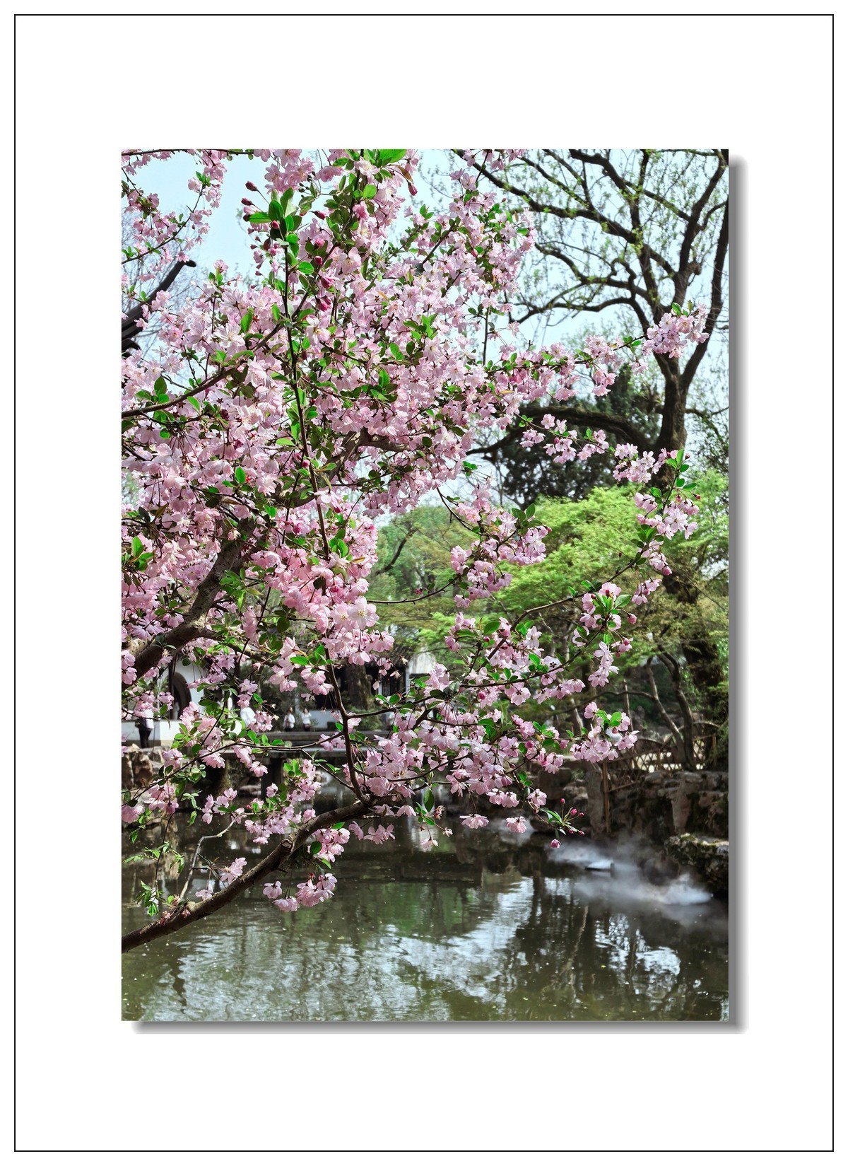 2025一一再游江南2